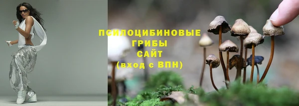 мет Алзамай