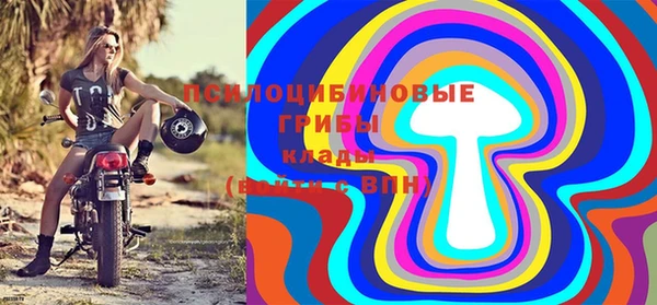 PSILOCYBIN Кинешма