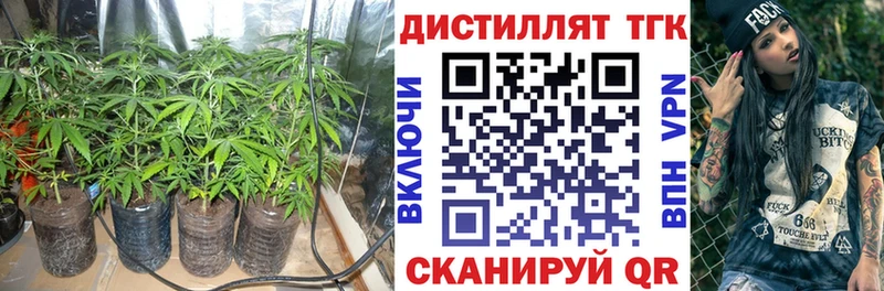 Дистиллят ТГК концентрат  Аткарск 