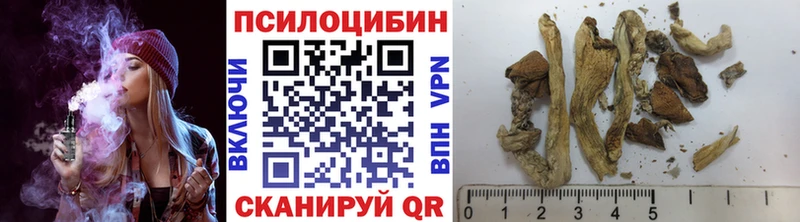купить  цена  Аткарск  Псилоцибиновые грибы GOLDEN TEACHER 
